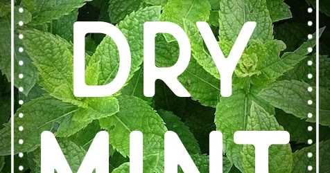 Tips & Tools: How To Dry Mint