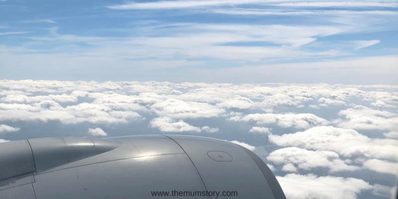 Tips And Tricks For Flying With A Toddler - TheMumStory