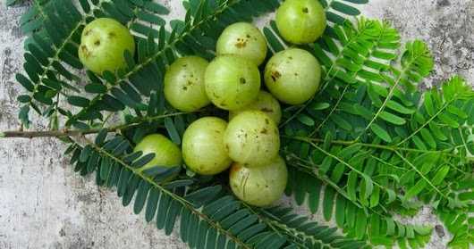 Tips For Weight Correction