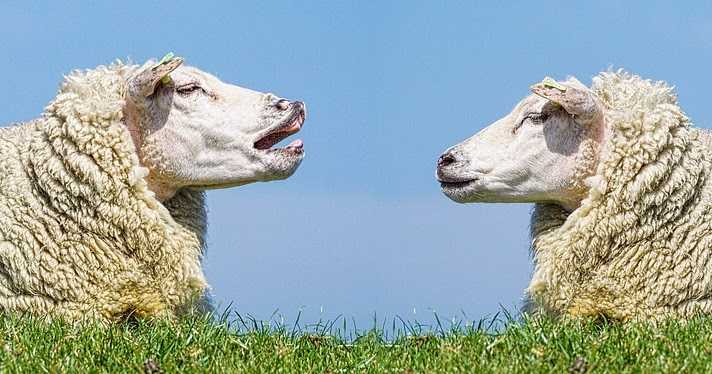 Tips For The Conversationally Averse