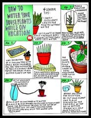 Tips To Water Your Plants While You Are On A Vacation