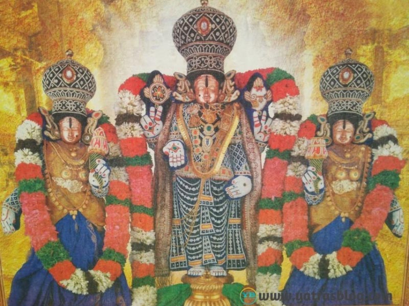 Tirumala Lord Venkateswara Temple Top Places To Visit | Tirumala Tourism