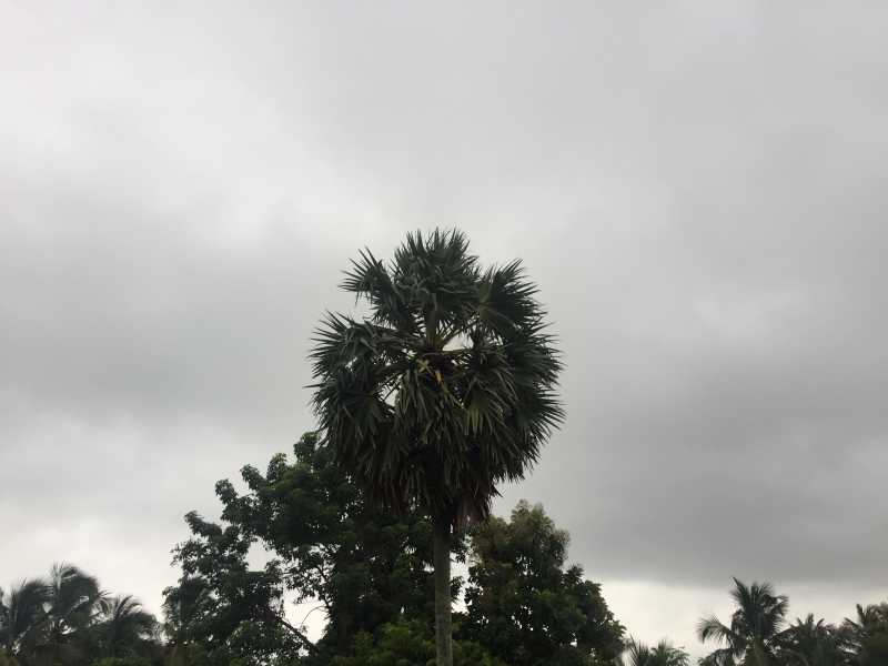 To Kerala, With Love