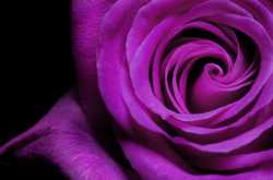 To The Knight Who Has Lost His Way