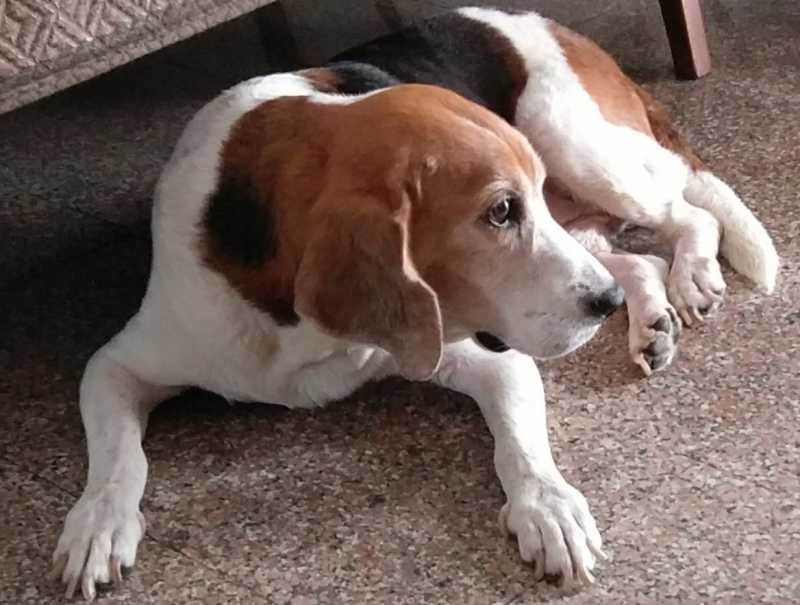 To You…With Love, Your Little Boy!