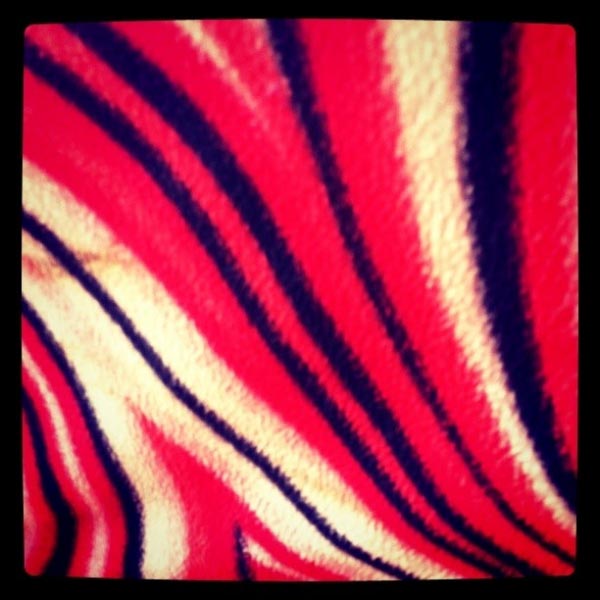 To Cab Or Not To Cab, It