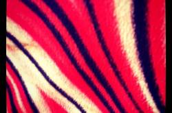 To cab or not to cab, it\