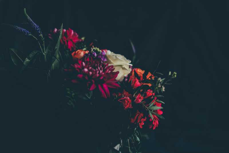 Today We Stop Pretending 