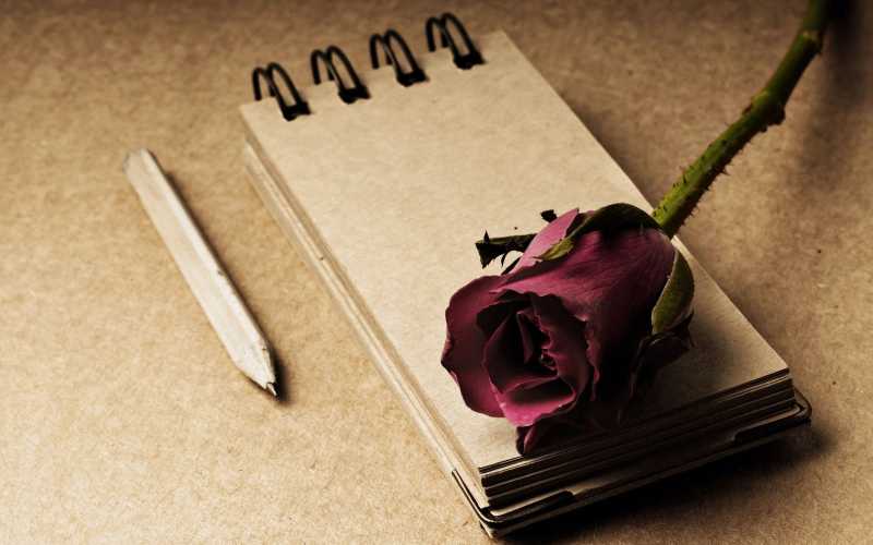 Together We Can! - A Short Story.