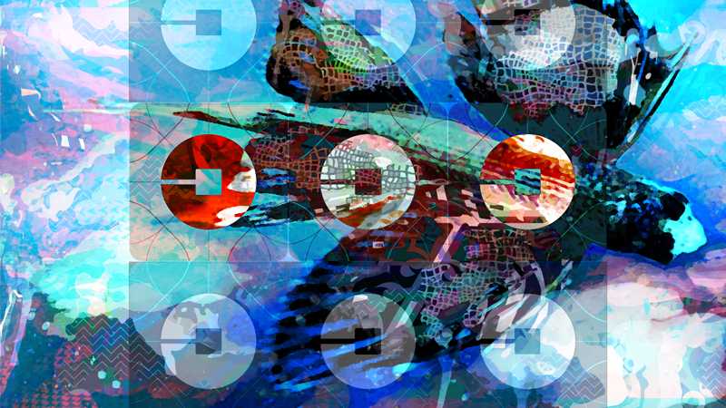 Toilet Door, 5$ Race & Uber Smiles