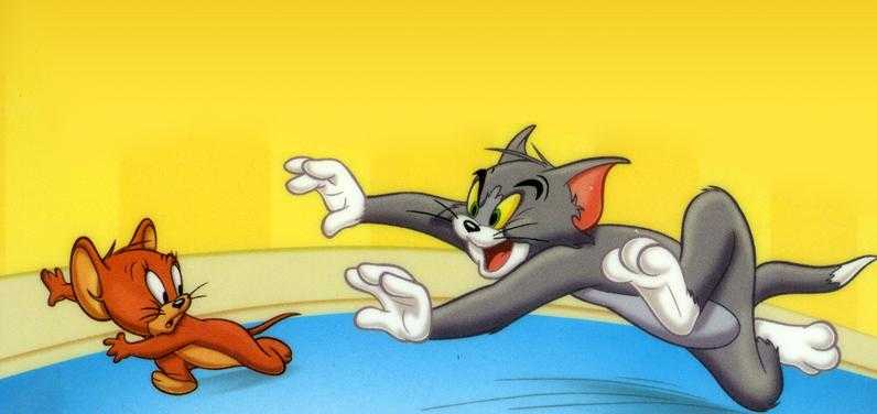 Tom And Jerry...A Case Of Unwarranted Stupidity
