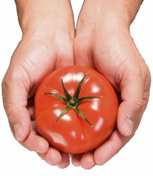 Tomatoes For Skin Lightening And For Uneven Skin Tone