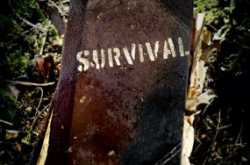 Too much has happened..