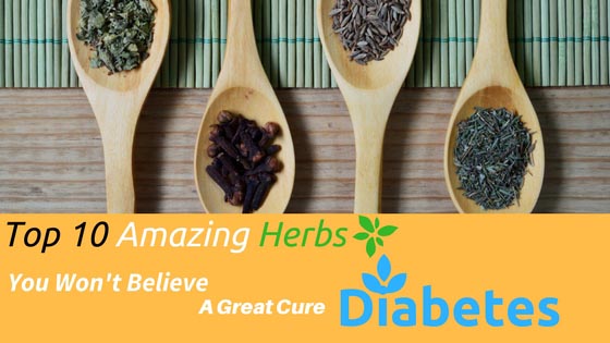 Top 10 Amazing Herbs That Controls Your Blood Glucose Level