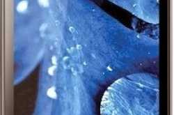 top 10 android phones between 15000 to 20000 with quad core,dual sim,5 inch hd display and 5 mp camera as on november 2013