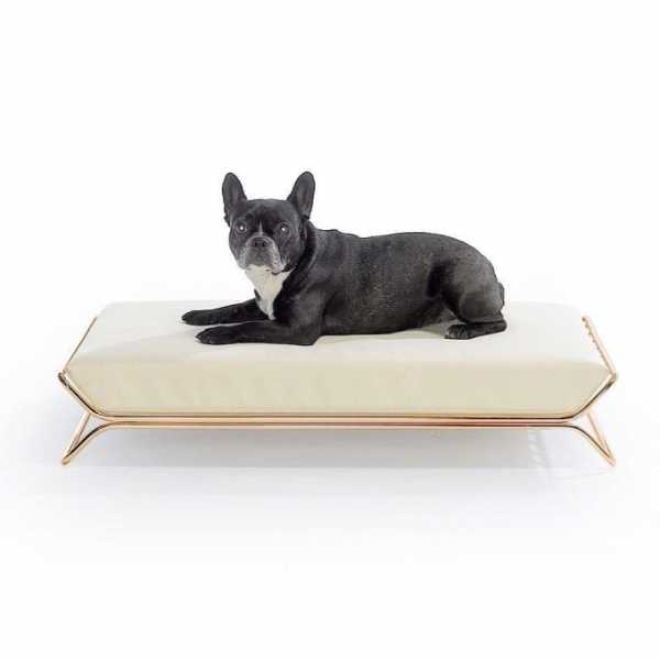 Top 10 Best Chew Proof Dog Bed For Heavy Chewer Pets (2019 Reviews)