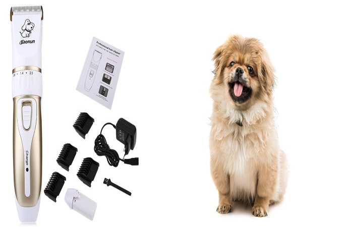 Top 10 Best Dog Hair Clippers For Your Cute Pooch (Buyers Guide) 2019