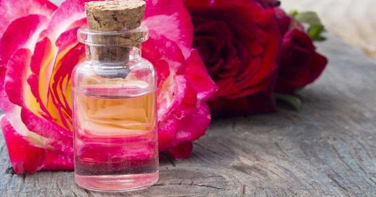 Top 10 Best Rose Water In India, Price, Availability