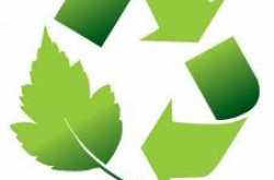 Top 10 Green career options