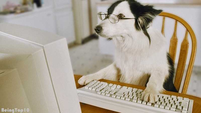 Top 10 Interesting Websites To Visit When Bored