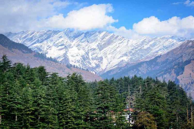 Top 10 Things To Do In Himachal With Kids - Laid Back Traveller