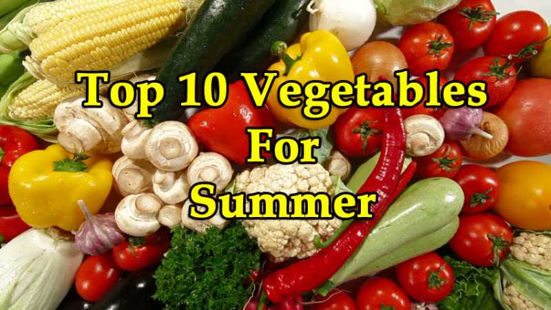 Top 10 Vegetables For Summer
