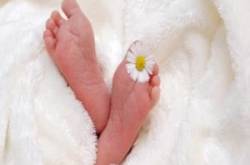 top 10 best instagram dp images 2018 collection