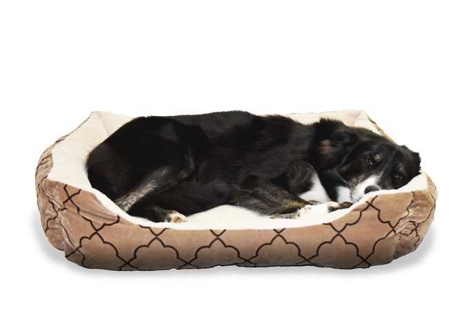 Top 12 Comfortable And Affordable Sofa Bed For Dogs (2019 Reviews)
