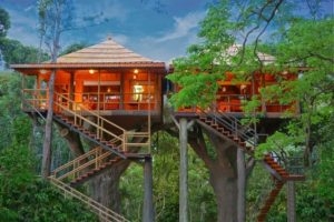 Top 20 Treehouse In Kerala - Book & Stay In Treehouse Resort In Kerala