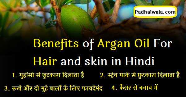 Top+5+Benefits+of+Argan+oil+for+hair+and+Skin+in+hindi