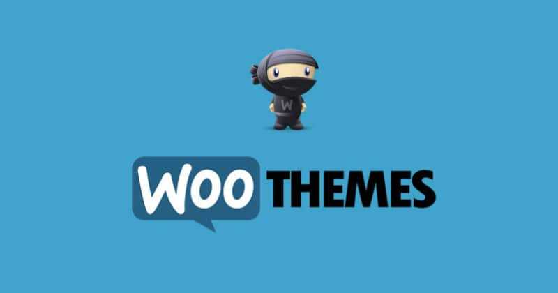 Top 5 Features That You Should Have In A Woo Theme