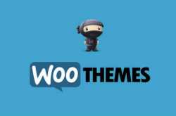 Top 5 Features That You Should Have In A Woo Theme