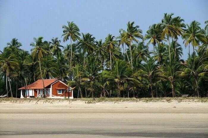 Top 5 Finest Beaches In Goa You Must Visit On Your Goa Trip