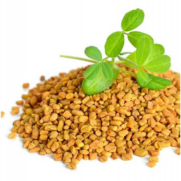 Top 5 Health Benefits Of Consuming Fenugreek Seeds