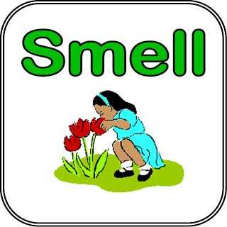 Top 5 Smells Of My World!