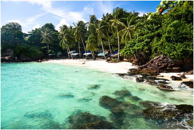 Top 5 Reasons To Travel To Vietnam From India In 2019