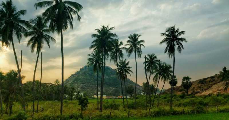 Top 5 Things To Do In Coimbatore