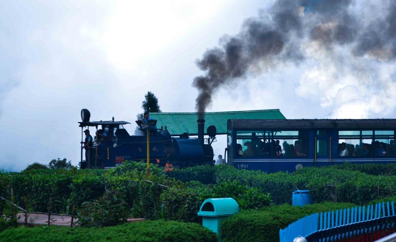 Top 6 Must Visit Places In Darjeeling !