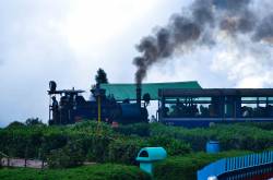 Top 6 must visit places in Darjeeling !