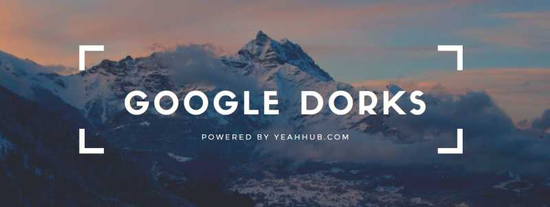 Top 8 Basic Google Search Dorks [Live Examples] - Yeah Hub