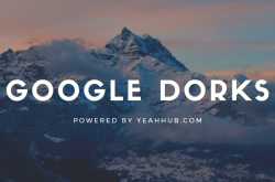 Top 8 Basic Google Search Dorks [Live Examples] - Yeah Hub