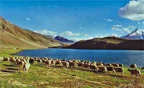 Top Attractions In Himachal Pradesh