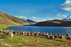 Top Attractions in Himachal Pradesh
