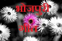 Top Best mixed Bhojpuri  mp3 songs download-links updated 11 feb 13