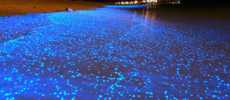 Top Heavenly Places Around The World 