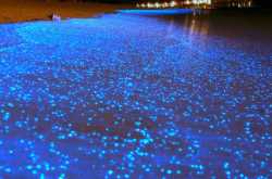 Top Heavenly places around the world 