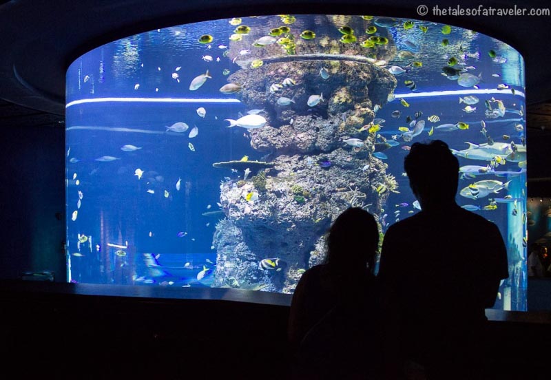 Top Things To Do In Singapore