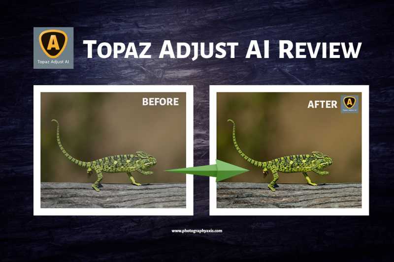 Topaz Adjust AI Review- Is It A Good Choice? - PhotographyAxis