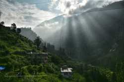 Tosh : The Happy Hamlet