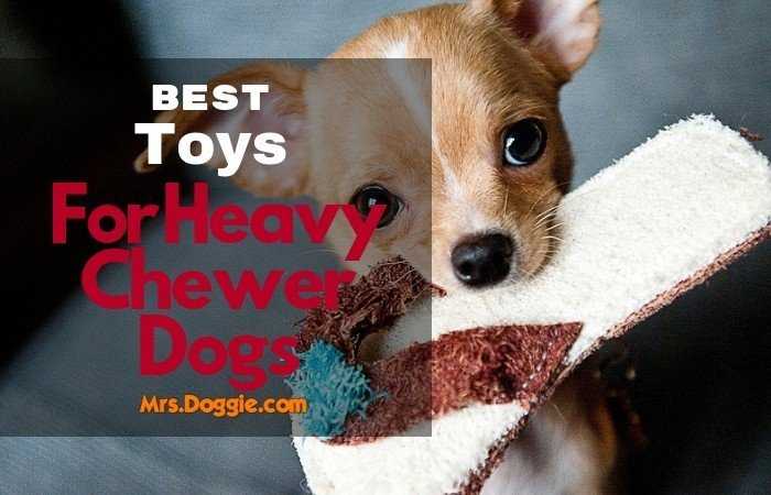 Toughest Dog Toys: Top 10 Best Chew Toys For Your Pets (Reviews) 2018